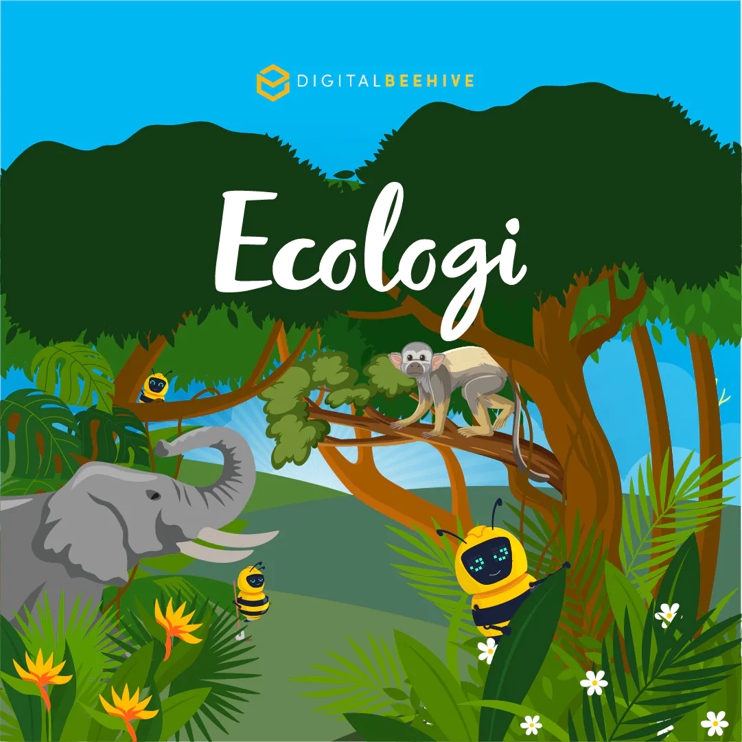 Rainforest conservation | Digital Beehive