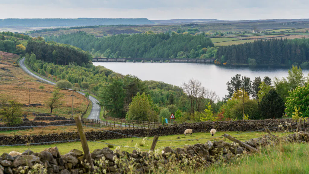 Contract Management for Utilities | Yorkshire Water | Digital Beehive